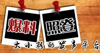 哪个新闻平台敢爆料的,某新闻平台力挺真相，敢爆料的背后故事